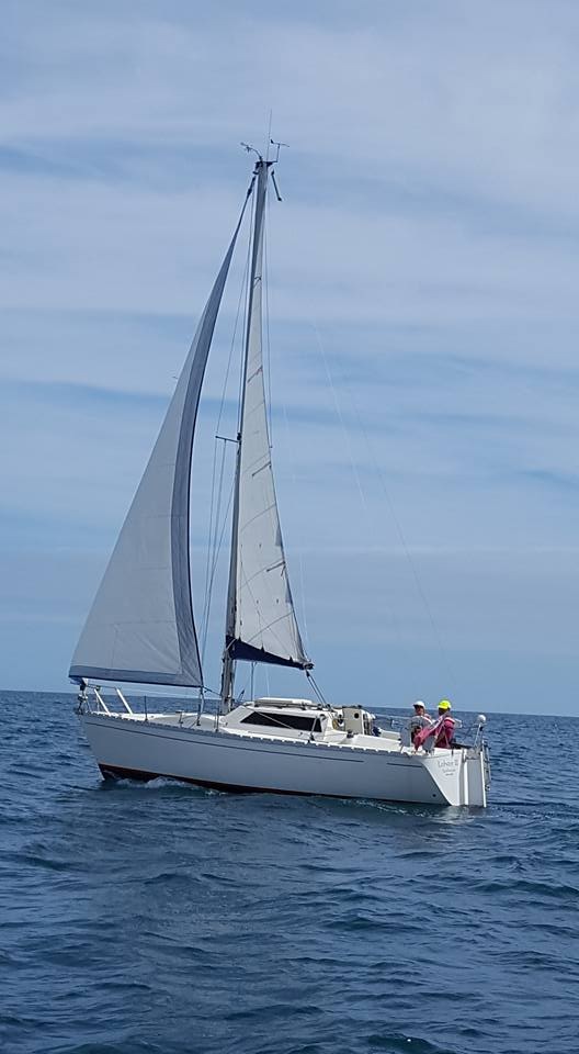 lobster solent summer 2017